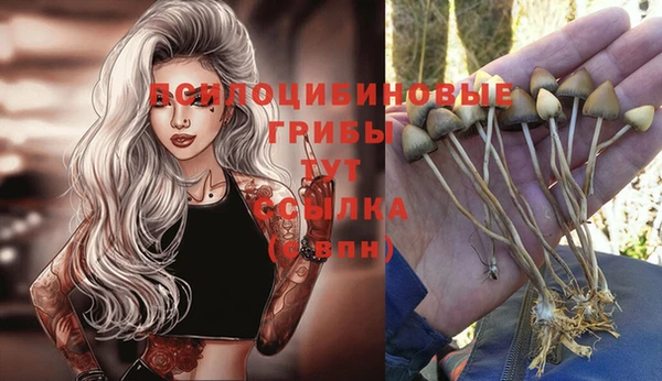 mix Покровск