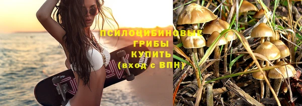 2c-b Покачи
